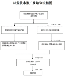 創(chuàng)新林業(yè)技術(shù)推廣培訓(xùn)，助力林業(yè)現(xiàn)代化發(fā)展